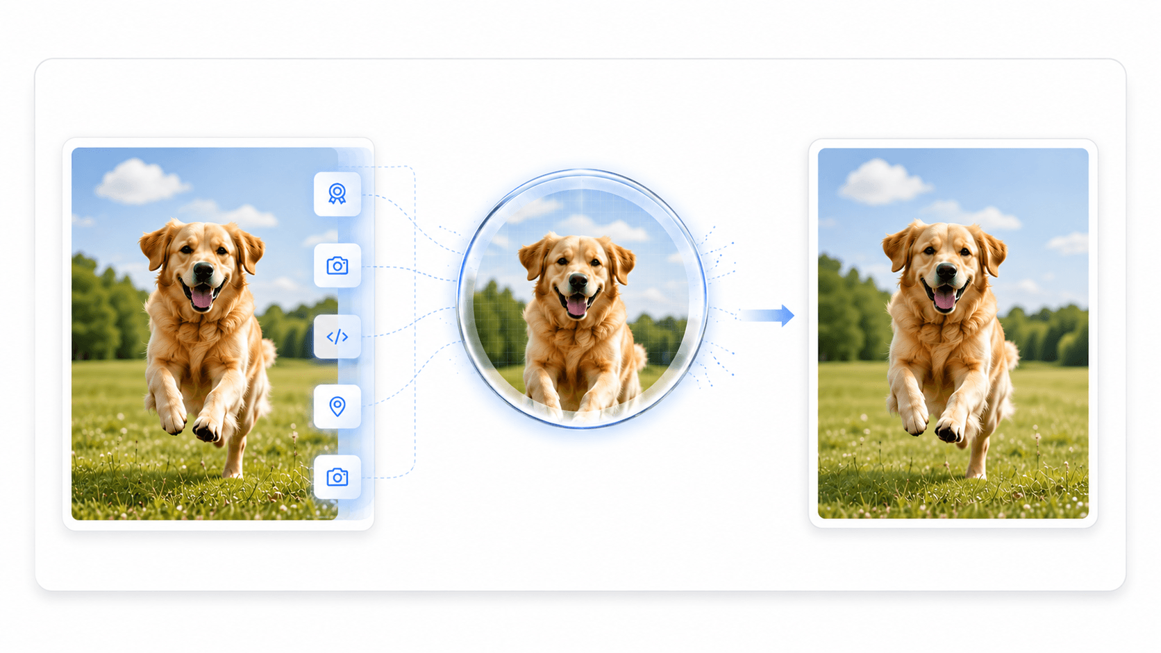 A clean file — identical, minus the watermark