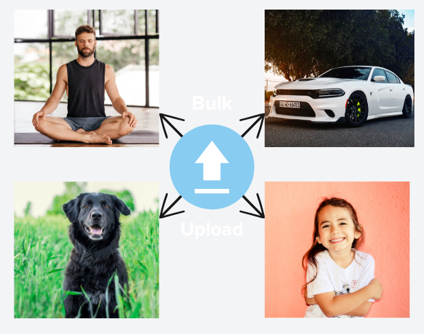 Bulk upload videos for batch background removal: man meditating, car, dog, child, auto background remover for creators.