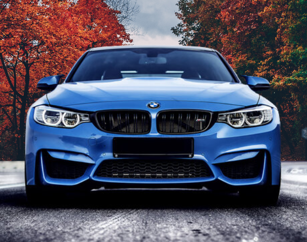 Car Dealerships thumbnail 4