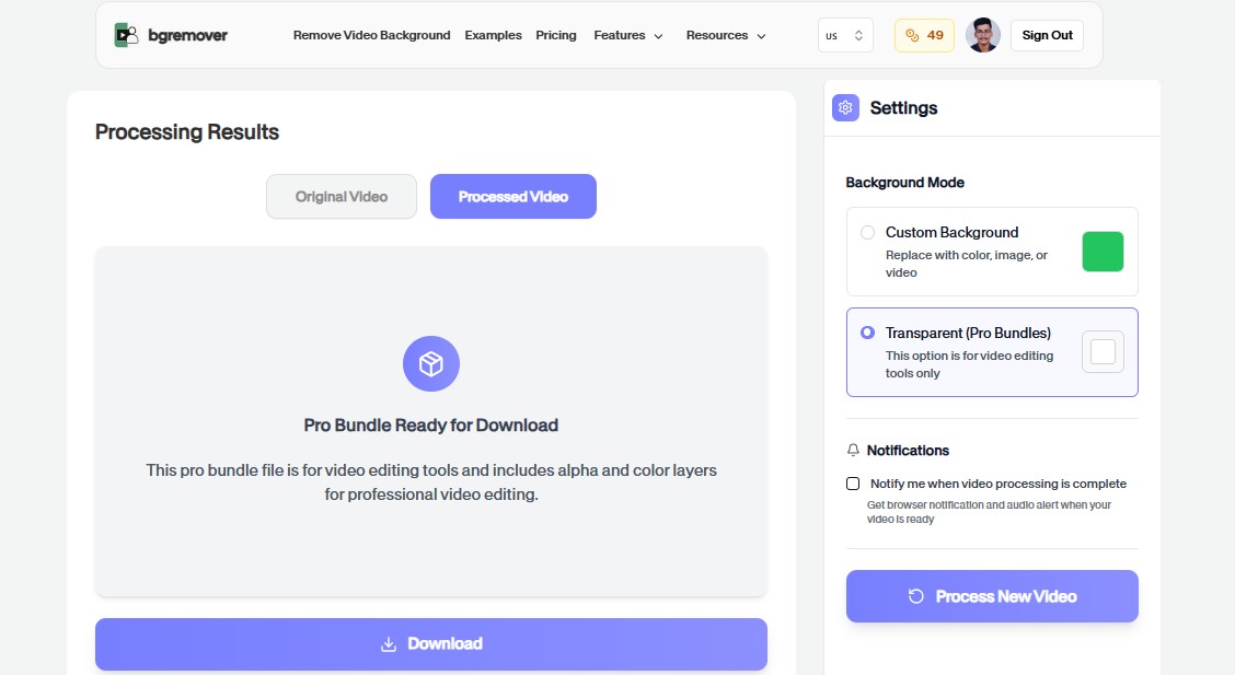 Preview Edited Cartoon Video